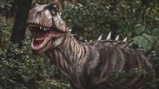 First-ever dinosaur fossil unearthed in Hong Kong: Report