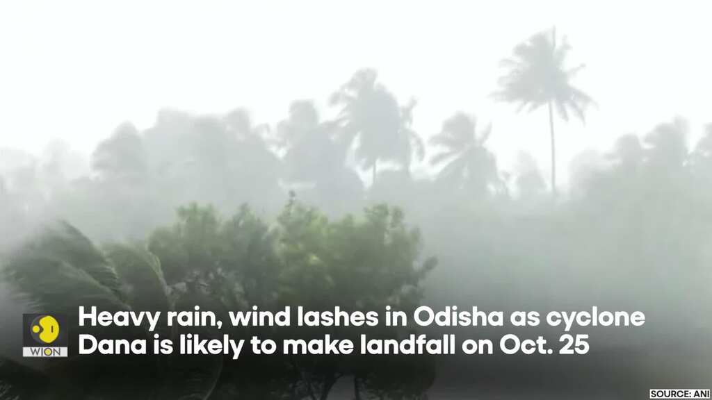 Cyclone Dana: Red Alert In Odisha As Cyclone Dana Set To Make Rainfall | WION Originals