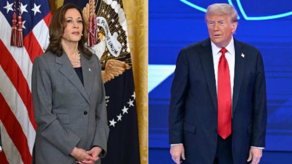 US Presidential Election 2024: Key issues Americans will be voting on