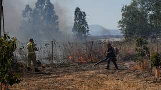 Hezbollah retaliates: Fires about 80 projectiles at Israel, says army