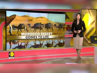 Green Deserts: A Big Tourist Draw