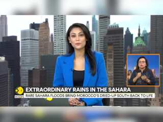 Sahara Desert: Basin Was Barren For Nearly 20 Years