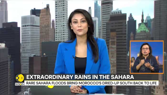 Sahara Desert: Basin Was Barren For Nearly 20 Years