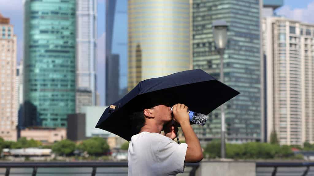 Greenhouse gases hit new record highs in 2023, warns UN report