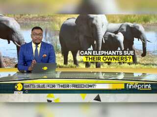 Elephants' Fight For Freedom