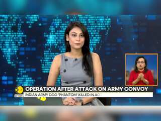 India: 3 Terrorists Killed After Attacking Army Vehicle in J&K's Akhnoor
