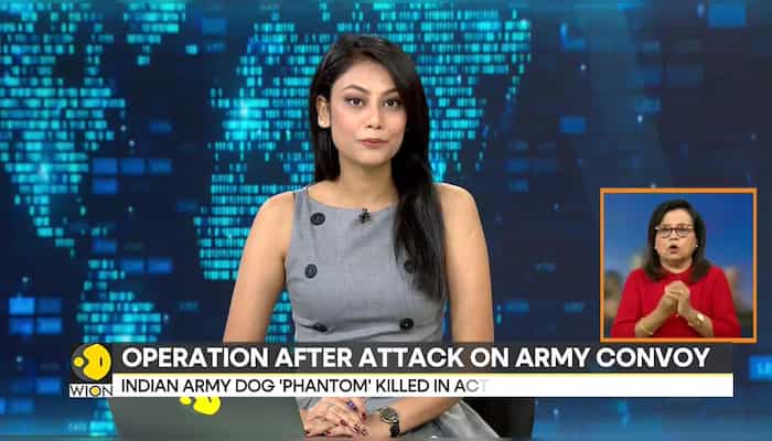 WionNews Video