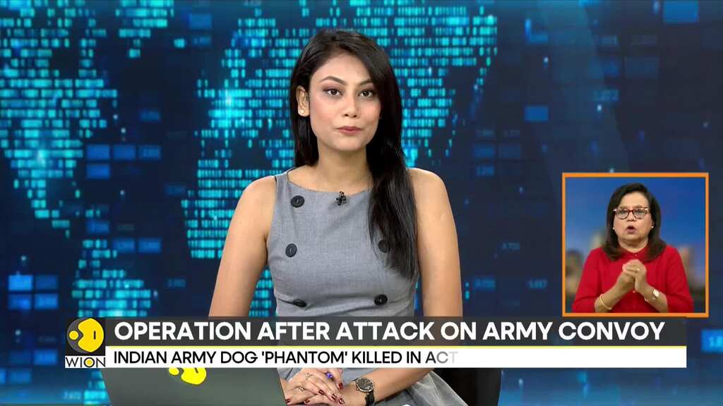 India: 3 Terrorists Killed After Attacking Army Vehicle in J&K's Akhnoor