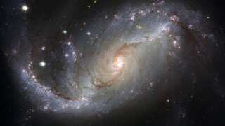 Tiny structures floating freely in space might be able to host life