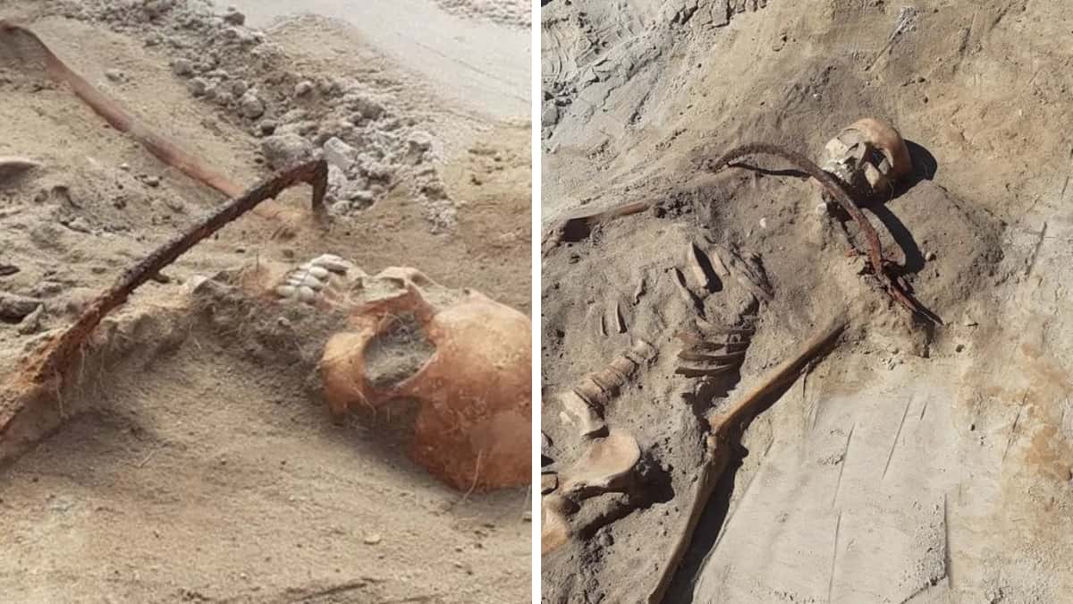 Female 'vampire' padlocked inside grave with sickle at neck 350 years ago: Archaeologists Female 'vampire' padlocked inside grave with sickle at neck 350 years ago: Archaeologists