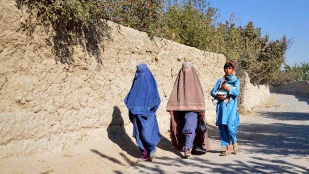 Afghan women turn to entrepreneurship amid Taliban restrictions