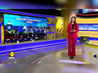 Guterres: We Are Waging A War Against Nature