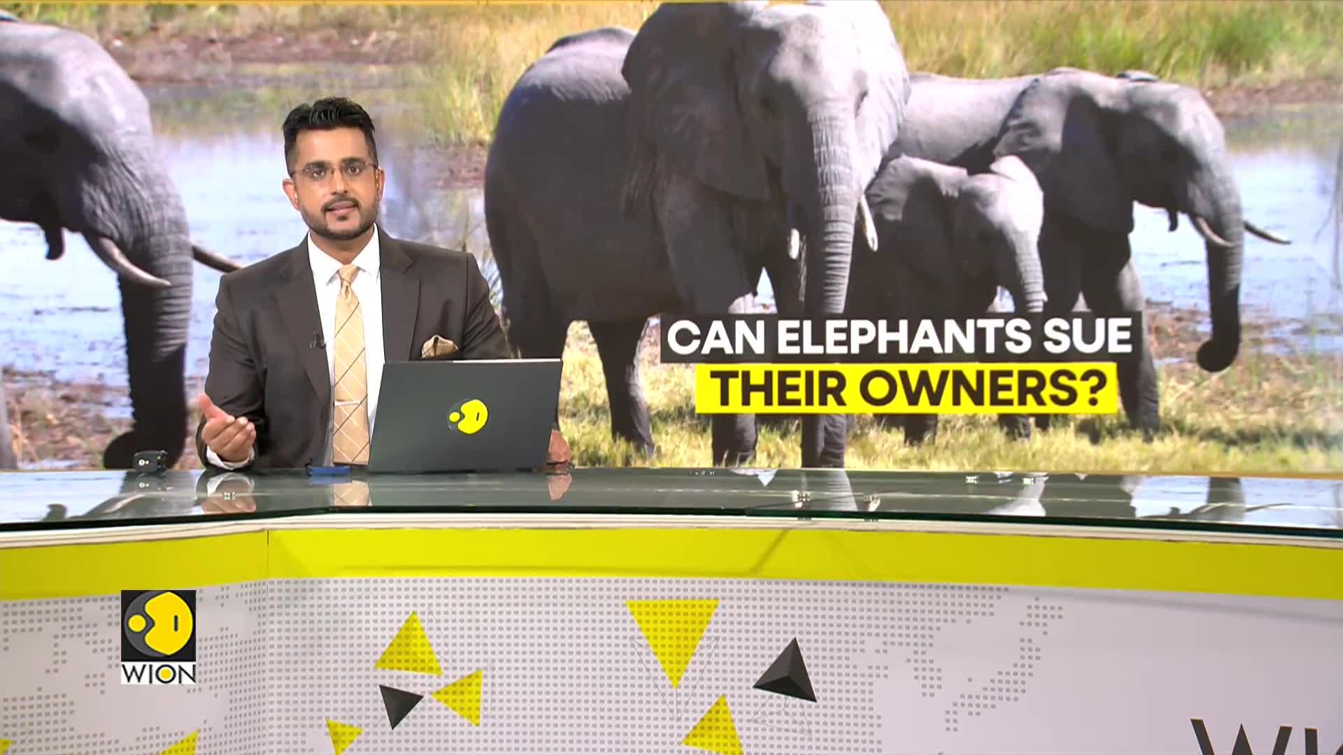 Can Elephants Sue For Their Freedom?