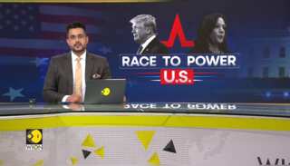 US Elections: What Are Voters Thinking On Immigration? WION Talks To New York Voters & Candidates