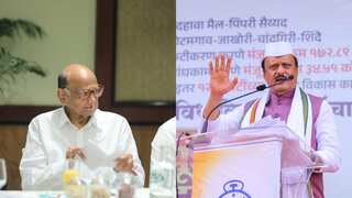 Explained: Why NCP will be the 'kingmaker' in Maharashtra assembly elections