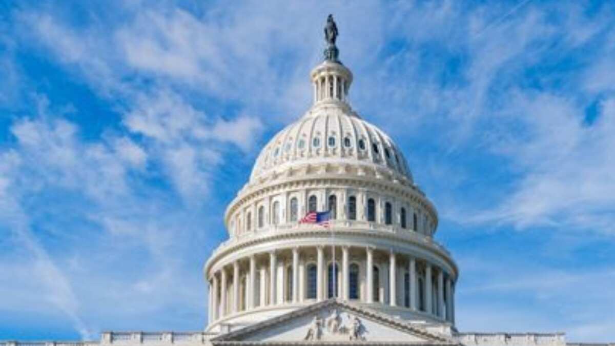Tennessee US Presidential Election 2024: Voting, Result info, Candidates and all you need to know