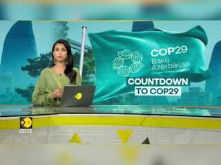COP29: Who Will Foot the Climate Bill ?