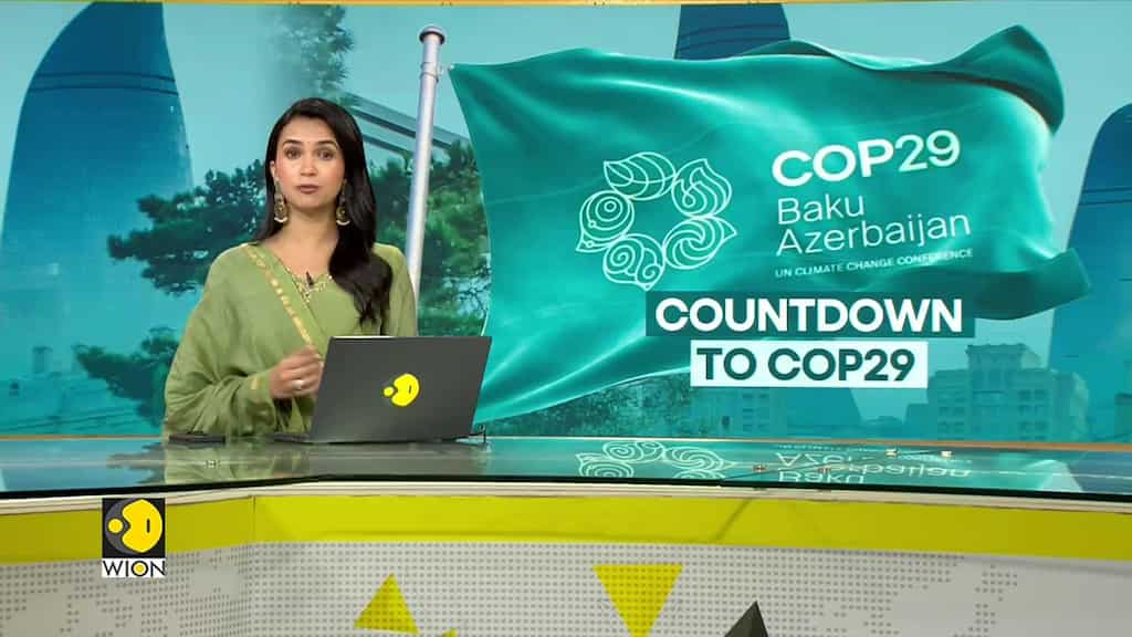 COP29: Who Will Foot the Climate Bill ?