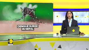 Dengue Outbreak in Nepal: More Than 28,000 Infections Reported This Year