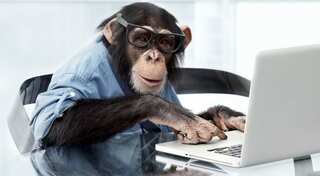 Monkey can't type complete works of Shakespeare on keyboard, the universe may die first
