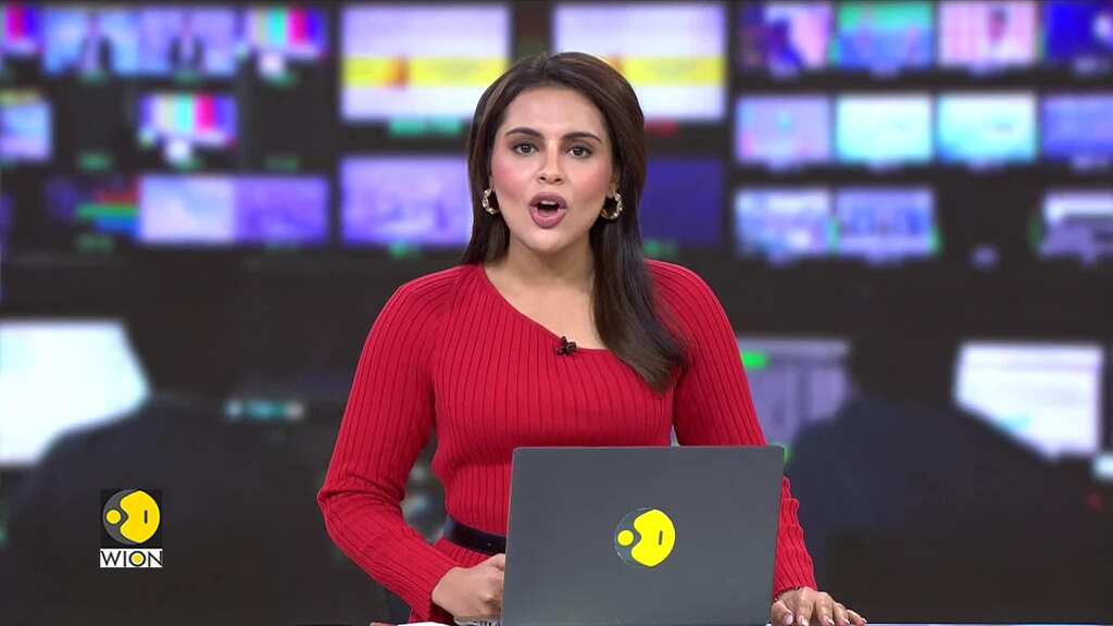 Halloween 2024: Cats Flood The Streets Of New York