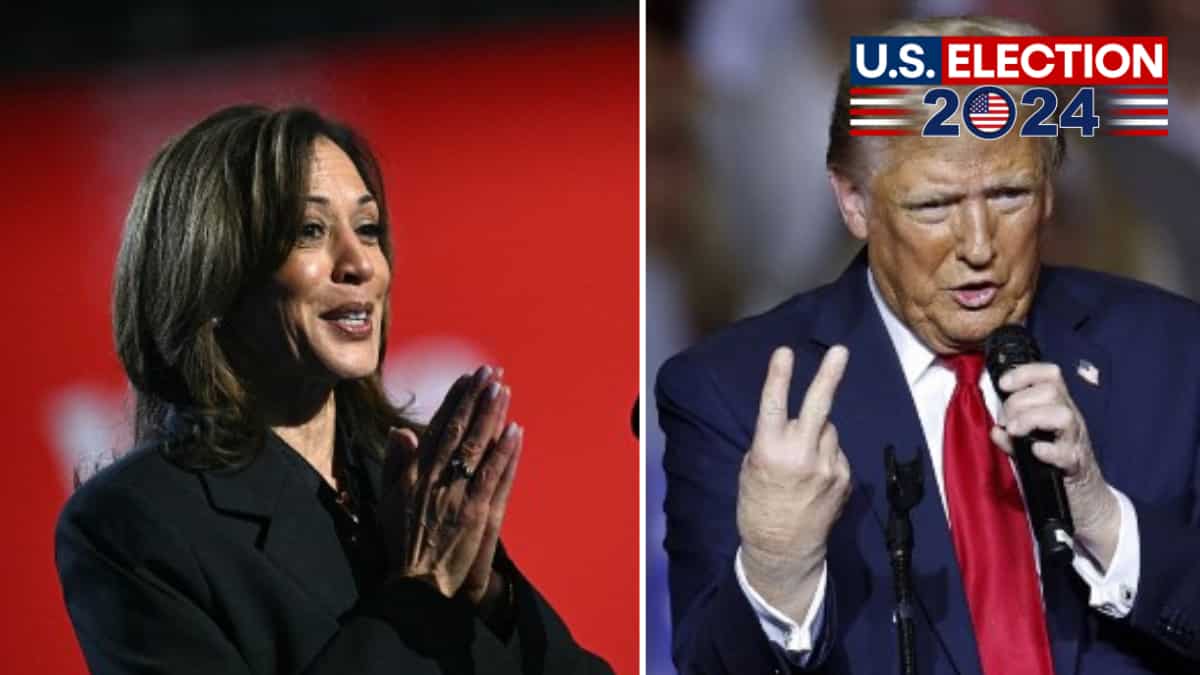 US Election 2024: If Trump declares premature victory, Democrats have 'a plan'