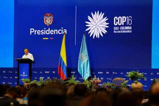 Clock ticking on biodiversity: UN summit ends with no funding roadmap for species protection