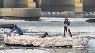 ‘We can’t allow that’: Delhi High Court rejects plea for Chhath Puja at Yamuna banks over toxic foam