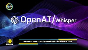 Is OpenAI Adding Fake Text To Audio Transcripts?