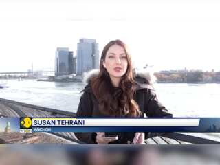 US Elections 2024: WION Talks to Indian American Voters on The Upcoming US Presidency