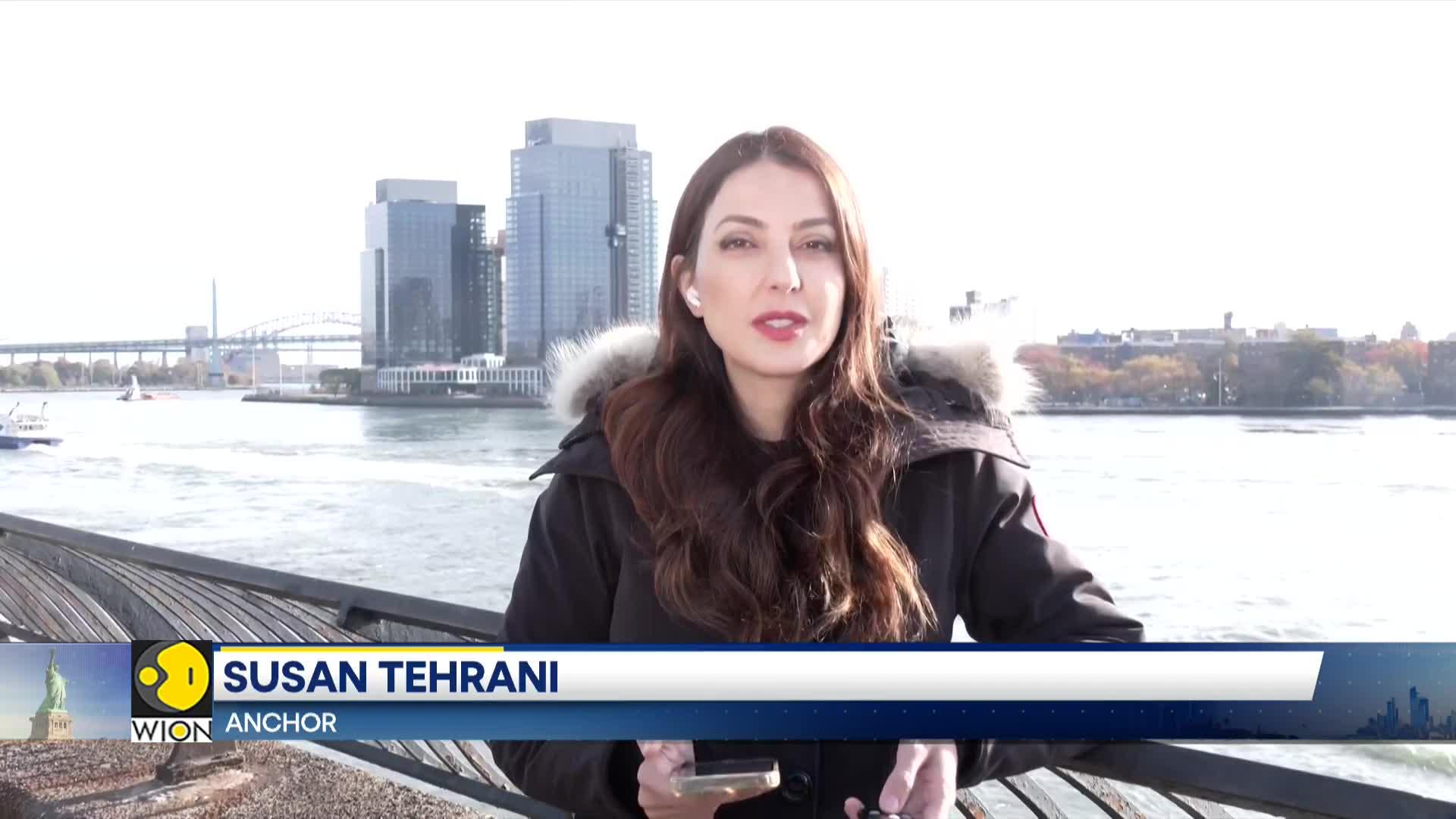 US Elections 2024: WION Talks to Indian American Voters on The Upcoming US Presidency