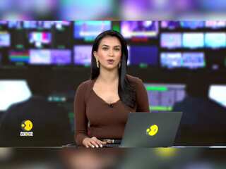 US Elections 2024: Indian-Americans: The Rising Force Shaping The US Elections