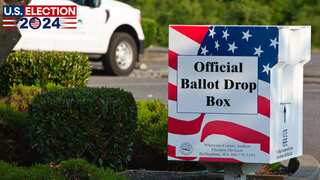 Illinois man arrested for punching election judge while waiting in voting line