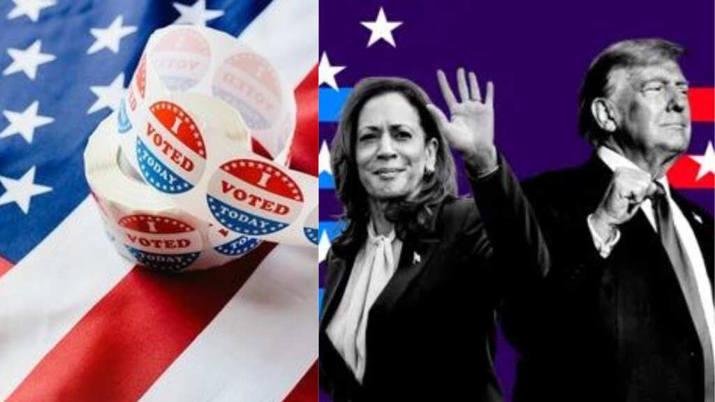US Elections 2024: Key states for Trump to secure victory in the presidential poll