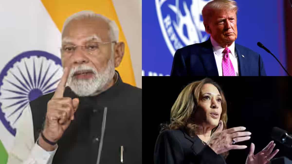 Top 10 world news: PM Modi condemns attack on Hindu temple in Canada; US election updates, and more