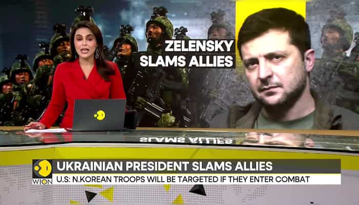 Russia-Ukraine War: Zelensky Questions Allies Over North Korea