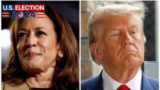 Madam president or former president? Indian diaspora voters speak to WION on US elections