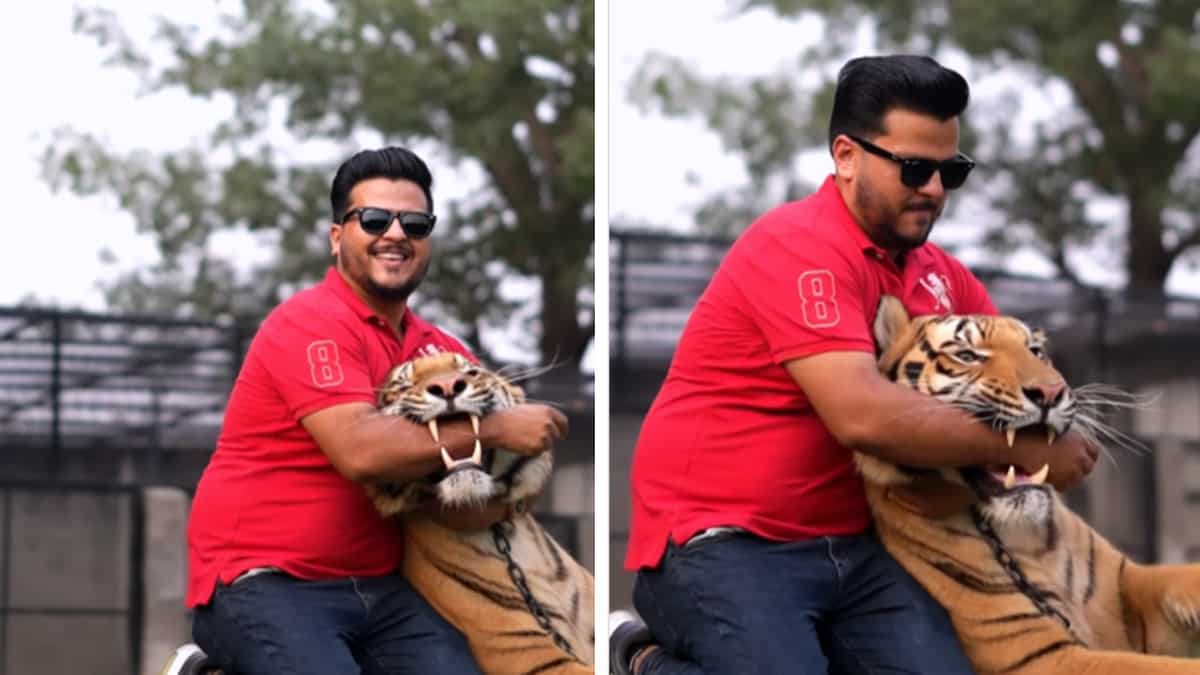 Watch: Pakistani digital creator inserts his hand in tiger's mouth, gets slammed by netizens Watch: Pakistani digital creator inserts his hand in tiger's mouth, gets slammed by netizens