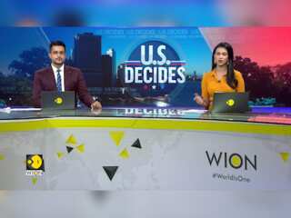 US Elections: Stocks Making The Biggest Moves | 'Trump Trades' See-Saw On Voting Day