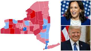 New York US Presidential Elections result 2024: House, Senate, state votes - What we know