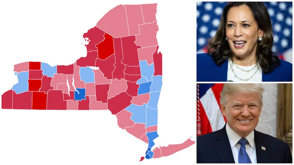 New York US Presidential Elections result 2024: House, Senate, state votes - What we know