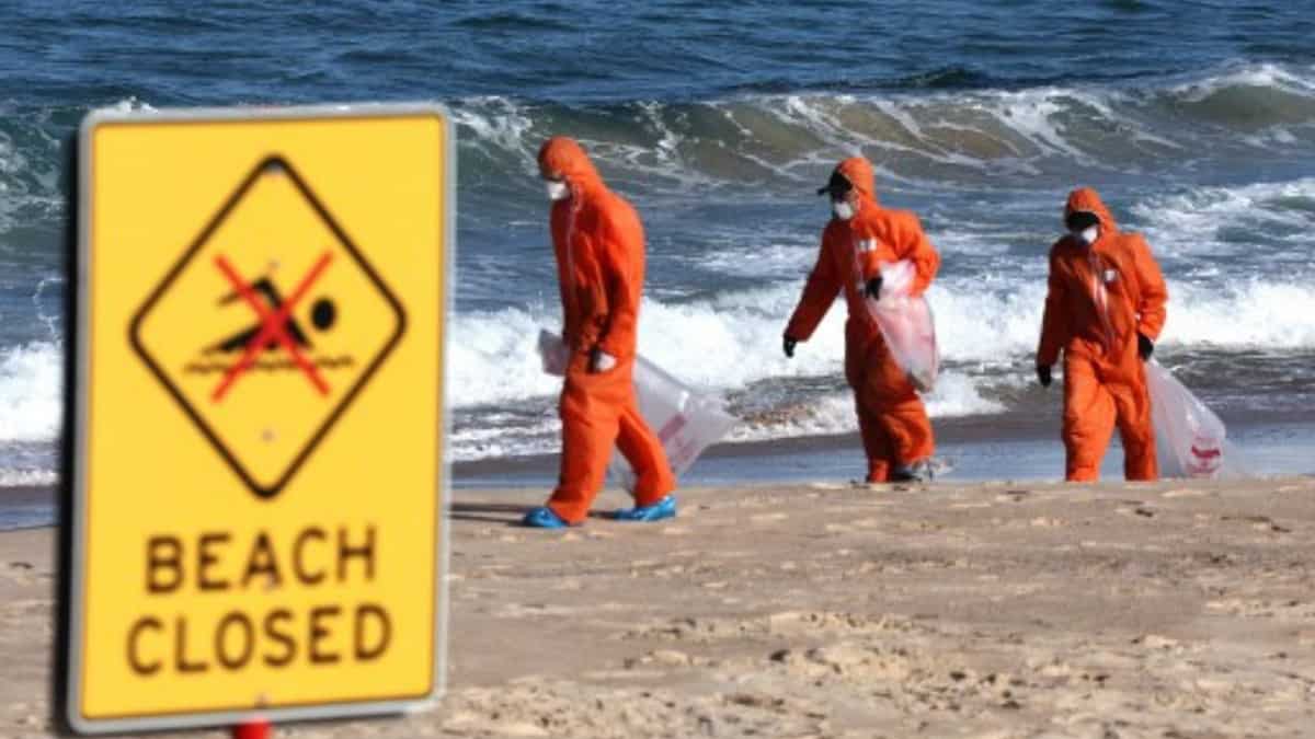'Tar balls' on Sydney beaches are not just oil. They contain some awful and nasty things 'Tar balls' on Sydney beaches are not just oil. They contain some awful and nasty things
