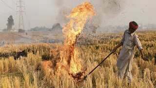 India: Centre doubles penalty for farmers burning crop residue over deteriorating Delhi-NCR air quality