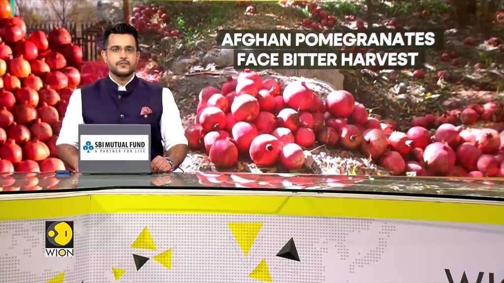 Afghan Pomegranate Exports Drop as Pakistan Increases Tariffs