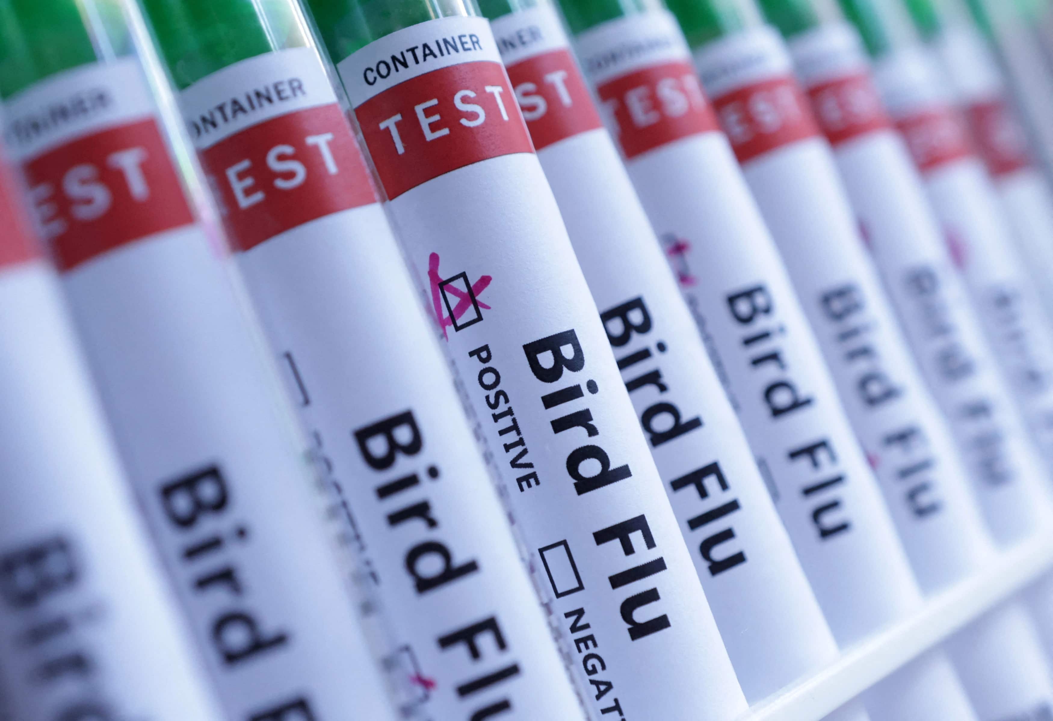 Canada detects first human case of H5 bird flu in British Columbia teen