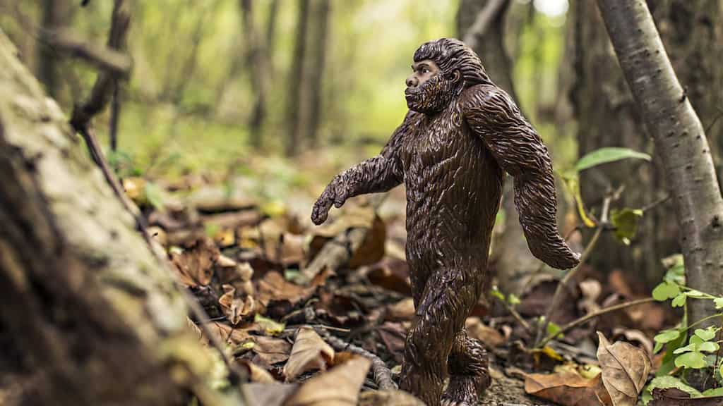 Bigfoot sighting reported in Connecticut, resident hears hairy giant ‘screaming,’ ‘whooping’