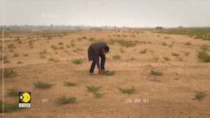 U.S. Spy Satellite Images Help Discover Ancient Battle Site