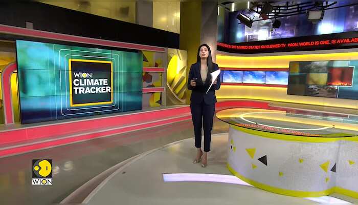 Pakistan: Lahore's Record Smog Triggers Anxiety and Anguish