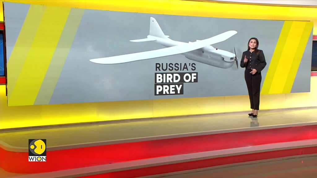 Russia-Ukraine War: Russia's Bird Of Prey, The Orlan-30