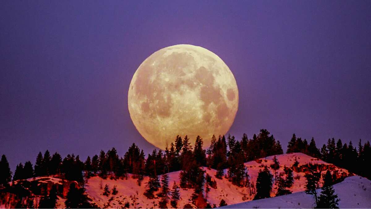 Beaver Moon 2024: The last Supermoon is here, along with the 'Seven Sisters'. Details